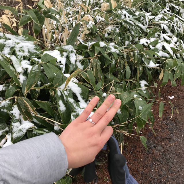 【アイプリモ(I-PRIMO)の口コミ】 婚約指輪は欲しいとは思っていませんでしたが友人の結婚指輪選びに付き添…