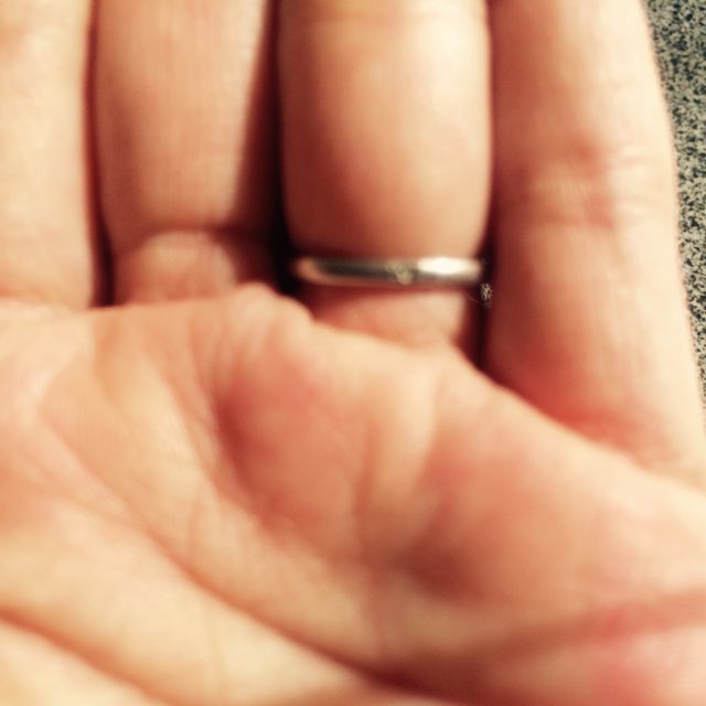 【4℃ BRIDAL(ヨンドシーブライダル)の口コミ】 旦那がディズニー好きだったのと指輪のデザインが気に入ったので即決しま…