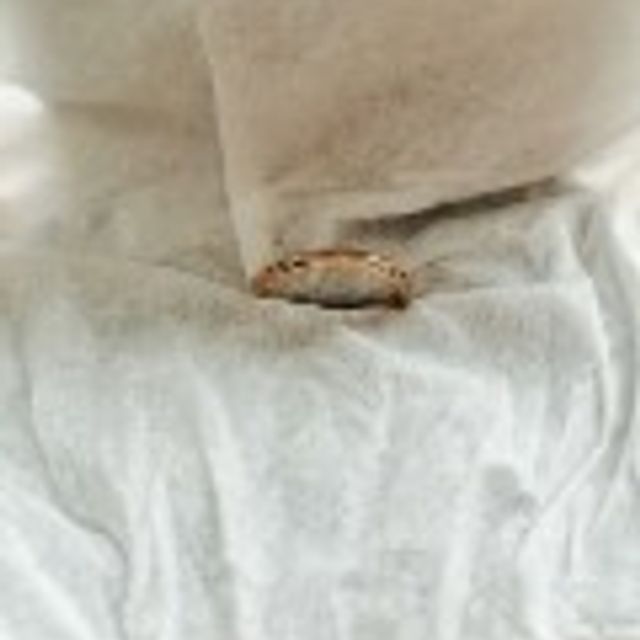 【SIENAROSE(シエナロゼ)の口コミ】 指輪の名前が最大の決め手で、あとはデザインです。

初めは別のものにし…