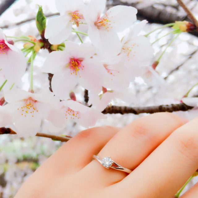 【俄(にわか)の口コミ】 出会った頃の初々しい気持ちを薄紅の桜でイメージした婚約指輪。というコ…