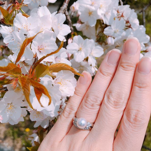 【MIKIMOTO(ミキモト)の口コミ】 人とあまり被らないもので、予算内（婚約指輪20〜30万前後）で探しました…