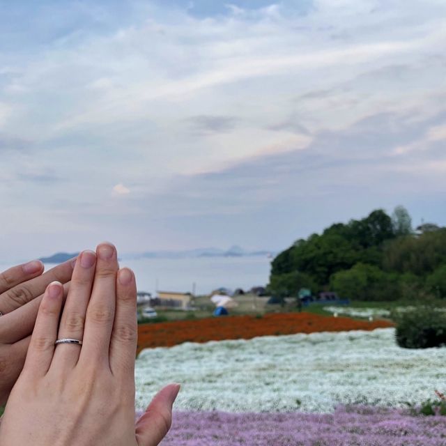 【アイプリモ(I-PRIMO)の口コミ】 結婚指輪を探し始めた頃、最初はネットでいろんなブランドの指輪を見てい…