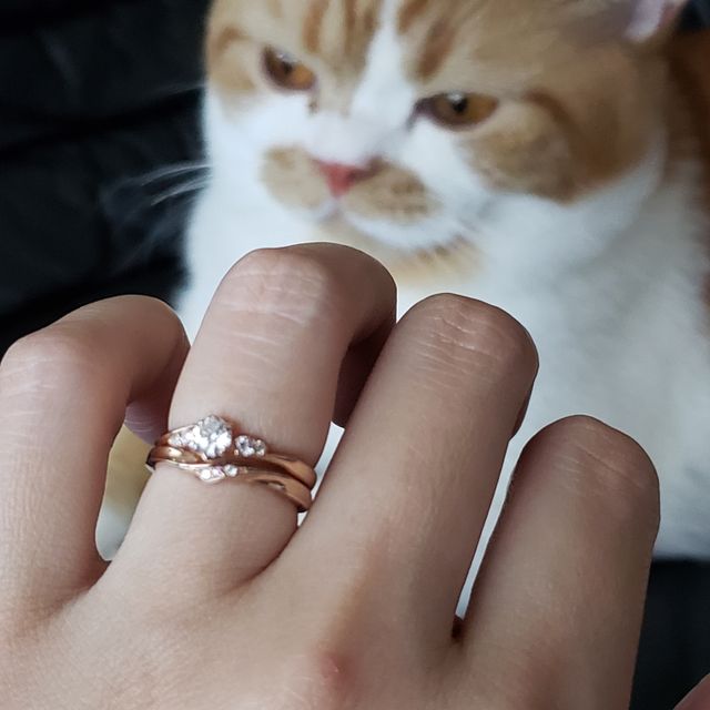 【Ginza Rim(銀座リム)の口コミ】 K18PGで婚約指輪に合いそうなものをネットで色々探していたところ、銀座リ…
