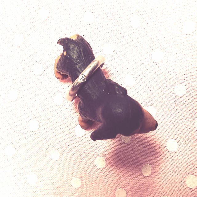 【ティファニー(Tiffany & Co.)の口コミ】 付き合っていたとき今の主人から誕生日プレゼントでティファニーのネック…