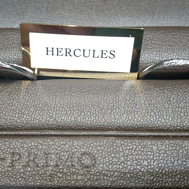 【アイプリモ(I-PRIMO)の口コミ】 つけ心地、プラチナ部分とダイヤのバランスが理想的で、着けてテンション…