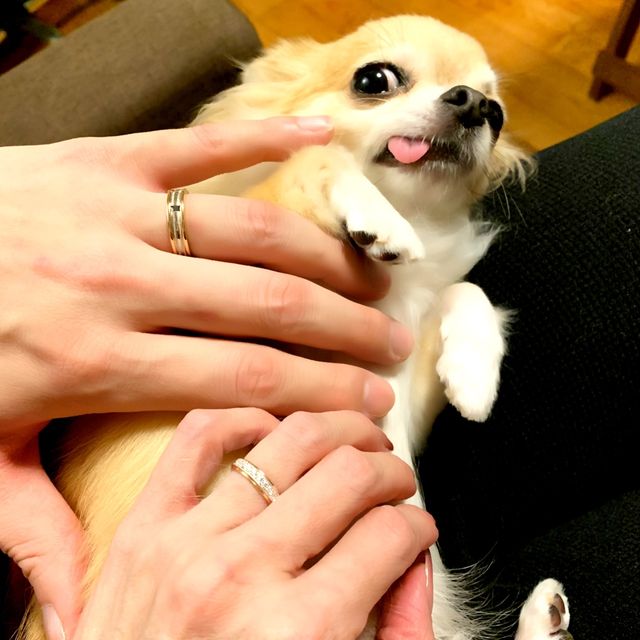 【ROCCA(ロッカ)の口コミ】 はじめからペアでデザインされたものでなく、私達なりに組み合わせて、ペ…