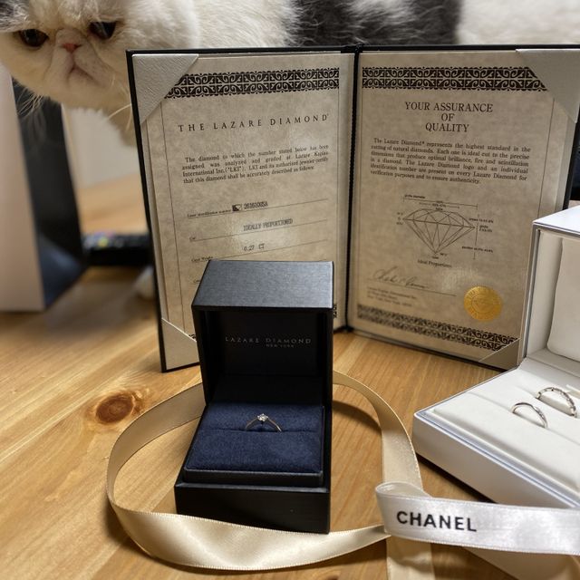 【ラザール ダイヤモンド(LAZARE DIAMOND)の口コミ】 輝きが違った！
色んな店舗を見て回った中でもダントツに綺麗なカットで大…