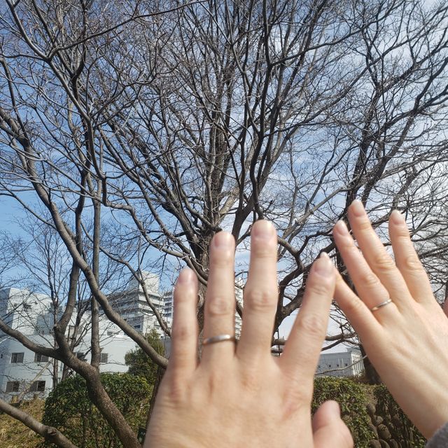 【RosettE(ロゼット)の口コミ】 指輪のデザインと指輪に込められた由来をきいてとても綺麗だと思ったのと…