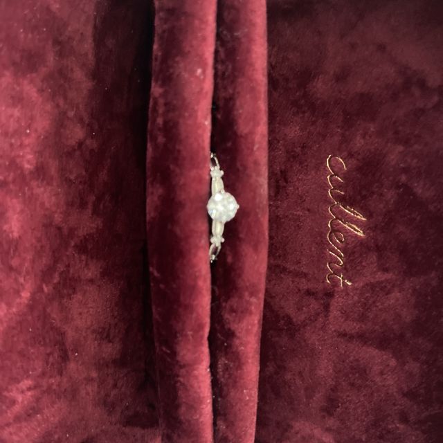 【N.Y.NIWAKA(ニューヨークニワカ)の口コミ】 細工が華奢だったので気に入りました。
試着したところ、自分の手にしっく…