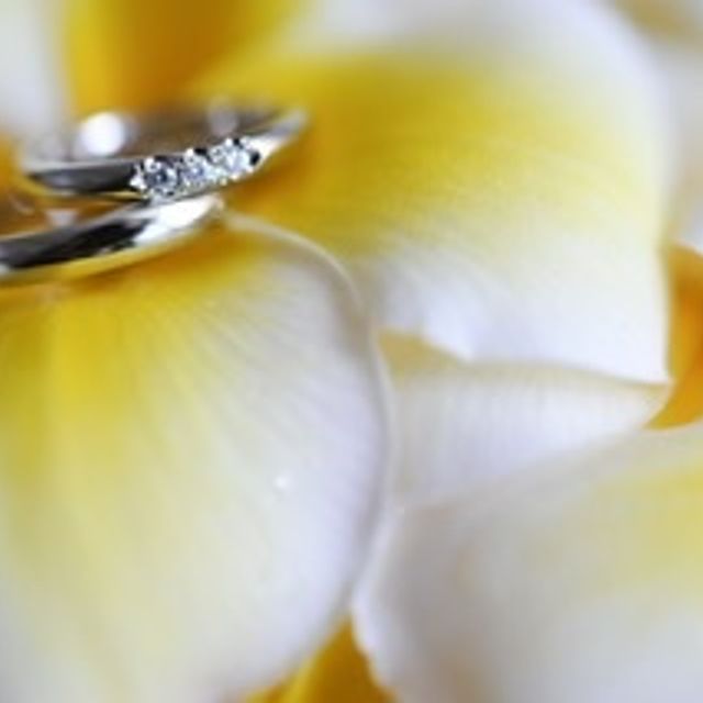 【MIKIMOTO(ミキモト)の口コミ】 婚約指輪に合うデザイン
結婚指輪のみでしていてもシンプルすぎない3石ダ…