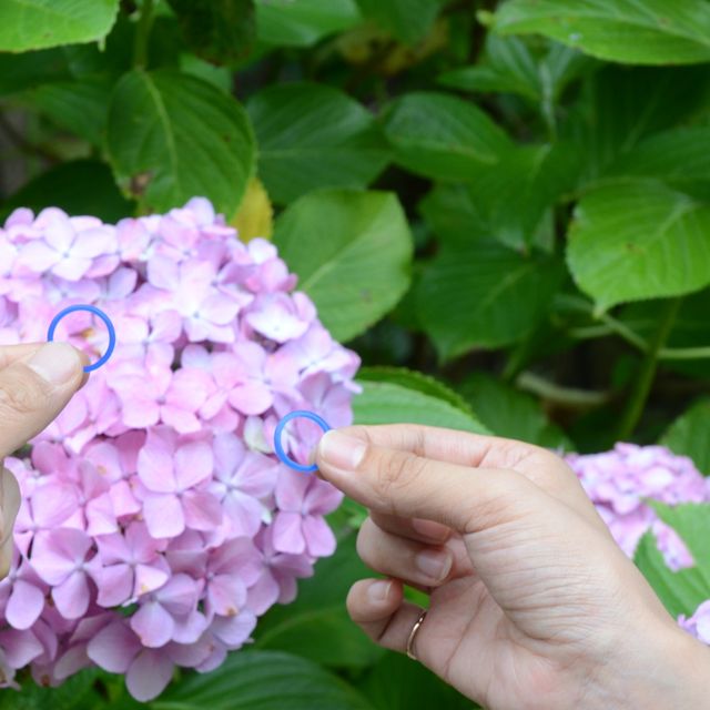 【CRAFY(クラフィ)の口コミ】 指輪は手作りできるのでデザインはもちろん自分たちで自由に決められます…