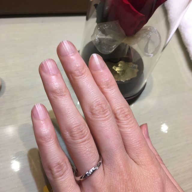 【Beauty and the Beast(ディズニー美女と野獣)の口コミ】 妻がディズニーの美女と野獣が好きという事で、妻が一目惚れしたのが決め…