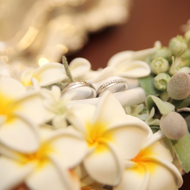 【ジュエリーツツミ(JEWELRY TSUTSUMI)の口コミ】 素材はプラチナで結婚指輪にもダイヤがあしらわれている商品を探していま…