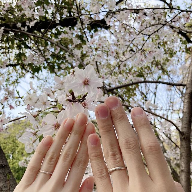 【Love Bond(ラブボンド)の口コミ】 (女性用)プラチナとピンクゴールドで迷っていたので、間を取ったようなデ…