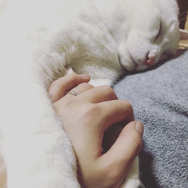 【4℃ BRIDAL(ヨンドシーブライダル)の口コミ】 価格も高すぎず、シンプルで毎日つけても飽きないデザインで探しました。
…