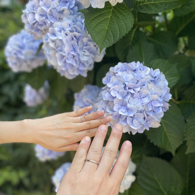 【銀座ダイヤモンドシライシの口コミ】 当日対応していただいた方の知識が豊富で
安心感もありましたし、アフター…