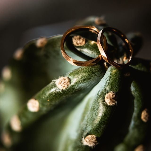 【Love Bond(ラブボンド)の口コミ】 元々多面形やカクカクしたモチーフやデザインが好きな私達。不規則でなく…