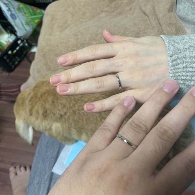 【アイプリモ(I-PRIMO)の口コミ】 価格帯やデザインなど妻が希望を言ったもの中から候補を選んでいただき、…