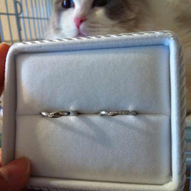 【TRECENTI(トレセンテ)の口コミ】 つけ心地が大変良かったです。また、ダイヤが付いた指輪でV型のものが欲し…