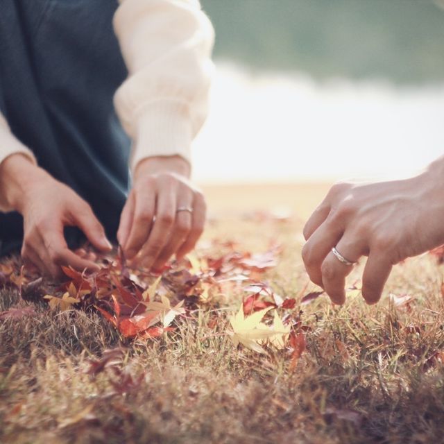 【LUCIE(ルシエ)の口コミ】 シンプルなデザインが好みで、そのような指輪を探していました。
お店の方…
