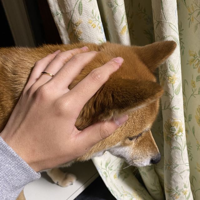 【俄(にわか)の口コミ】 俄の指輪選びましたがデザインもシンプルなので選びました。また指輪の名…