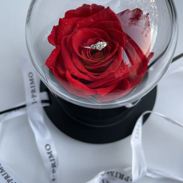 【アイプリモ(I-PRIMO)の口コミ】 会社の上司が進めてくれた指輪屋さん。
行ってみてとても素敵で雰囲気も良…