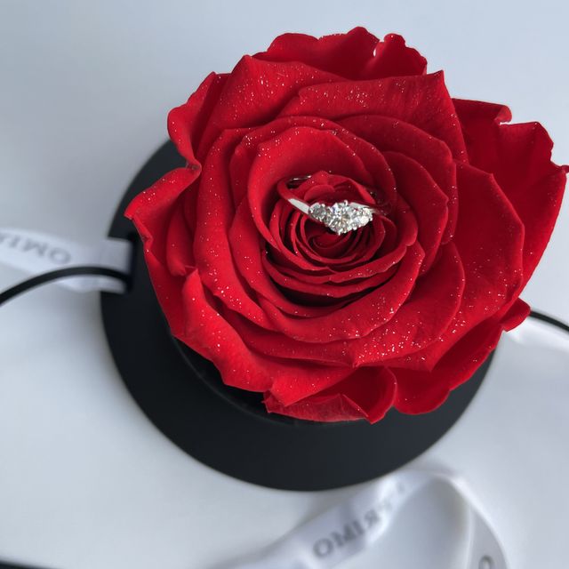 【アイプリモ(I-PRIMO)の口コミ】 会社の上司が進めてくれた指輪屋さん。
行ってみてとても素敵で雰囲気も良…