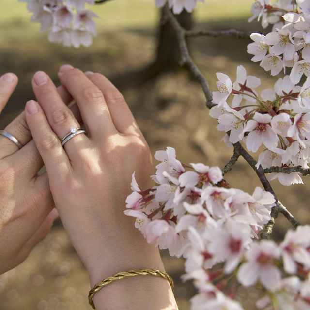 【TOMOE(トモエ)の口コミ】 珍しい四角のダイヤに惹かれました。
ブランドは巴で揃え、ずっと付けるも…