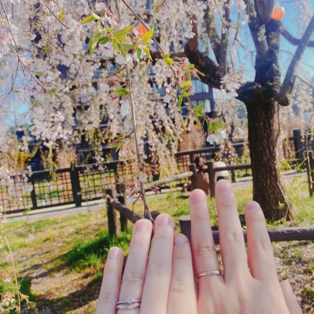 【ケイウノ ブライダル(K.UNO BRIDAL)の口コミ】 男性側も細めのデザインを探しており、かつ他社ブランドでプレゼントした…