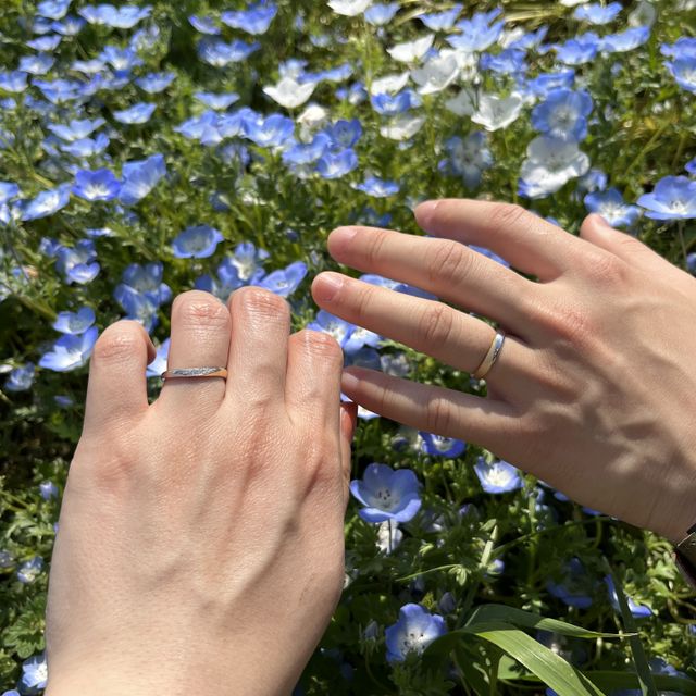 【ケイウノ ブライダル(K.UNO BRIDAL)の口コミ】 プラチナとゴールドの2色が使われている指輪が珍しかったので、他の人とか…