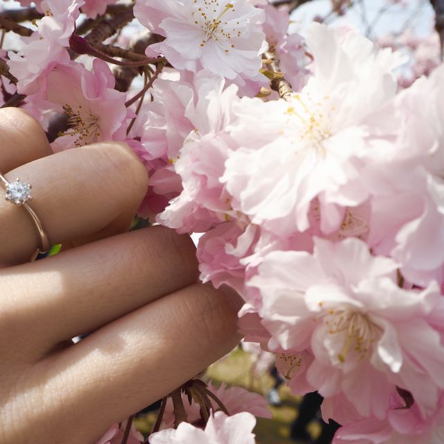 【アイプリモ(I-PRIMO)の口コミ】 シンプルなデザインを探して複数店舗をまわっていましたが、決め手に欠け…