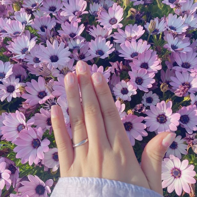 【銀座ダイヤモンドシライシの口コミ】 指が長く見えて、着け心地もよかった。
デザイン、ダイヤの有無など、細か…