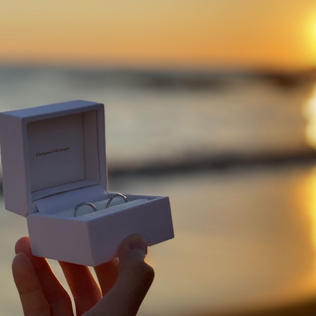 【Galopine & Galopin(ガロピーネガロパン)の口コミ】 価格は200,000円以内で収めたいと考えていたので、ちょうどいい値段のもの…