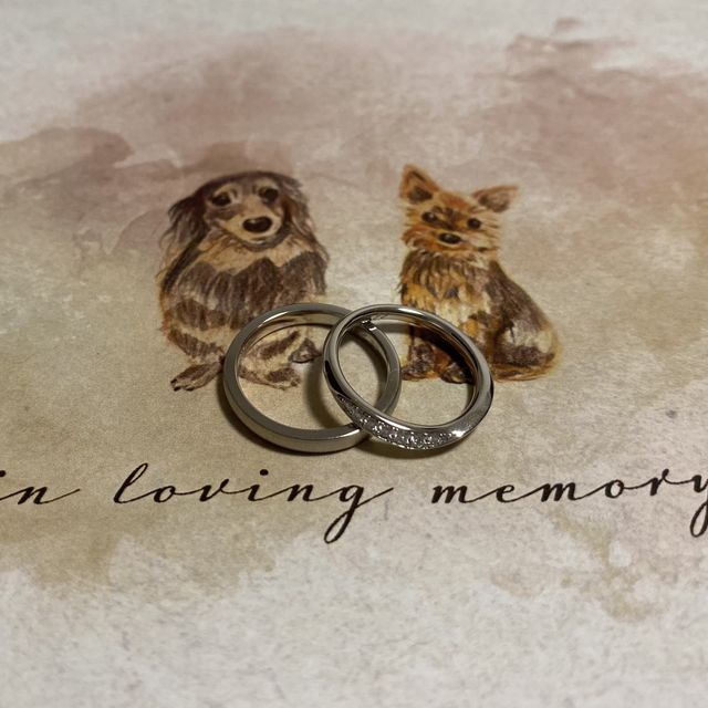 【ROYAL ASSCHER(ロイヤル・アッシャー)の口コミ】 指輪のデザインがシンプルかつ上品で気に入りました。
セミオーダーで加工…