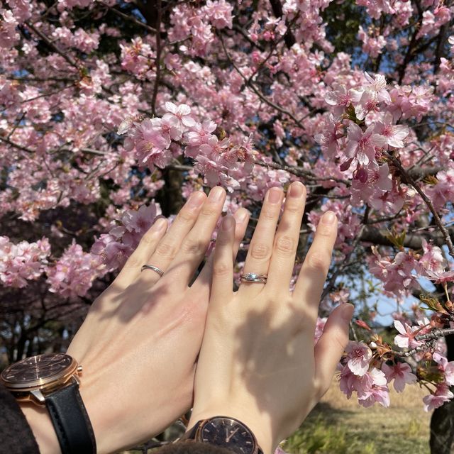 【銀座ダイヤモンドシライシの口コミ】 有名なハイブランドなどと悩みましたが、ブライダルリング専門店というこ…