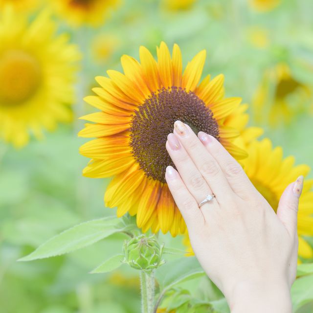 【エクセルコダイヤモンド(EXELCO DIAMOND)の口コミ】 ダイヤが浮いていて、その下をまたダイヤが通っている他にはないデザイン…