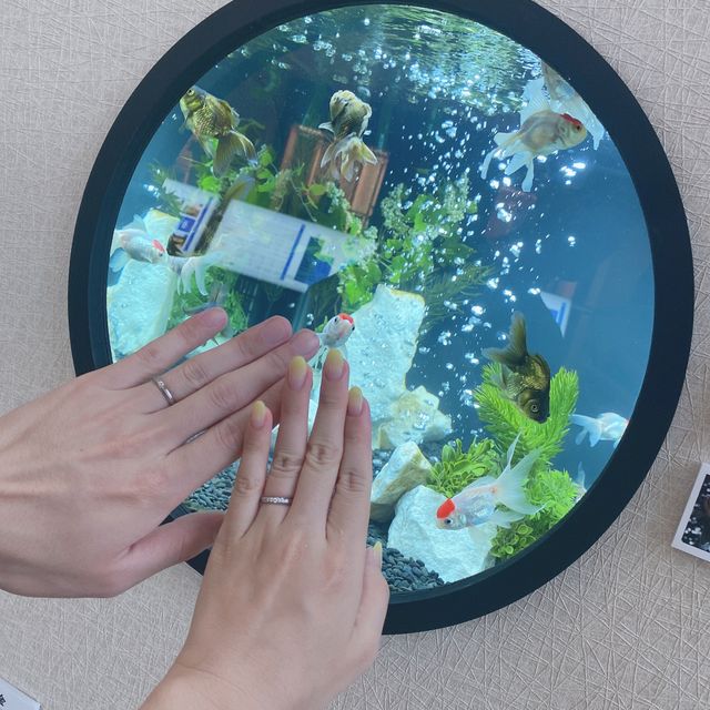 【ラザール ダイヤモンド(LAZARE DIAMOND)の口コミ】 夫が婚約指輪を購入する際に見つけてくれたブランドで、とてもデザインが…