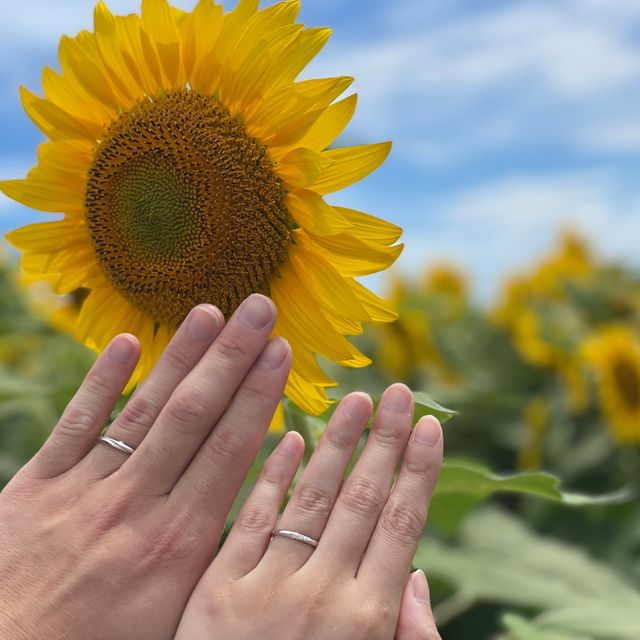 【アイプリモ(I-PRIMO)の口コミ】 デザインがとても豊富で、指輪をつけない自分からしてみてれば、選ぶもの…