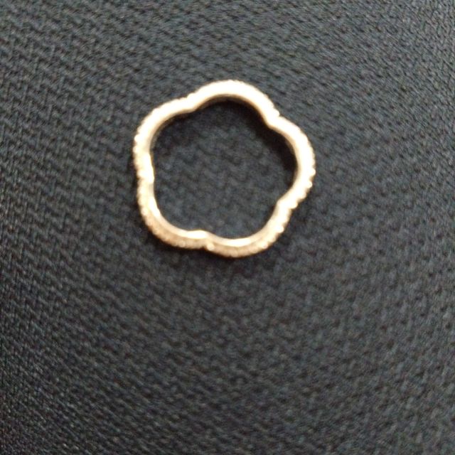 【シャネル(CHANEL)の口コミ】 CHANELのカメリアコレクションは見ているだけでうっとり。。。何年も前か…