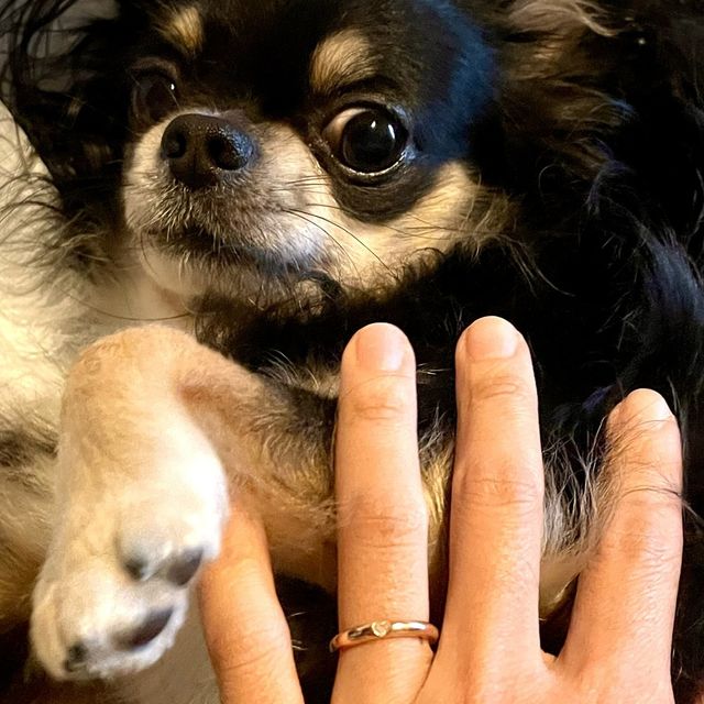 【THREE TREES(スリーツリーズ)の口コミ】 たくさん指輪を見てまわりましたが、最終的に手作りで自分の好きなデザイ…