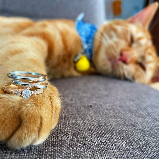 【GALA JEWELRY(ガラジュエリー)の口コミ】 価格で決めました。ホームページから見ていた時の価格でgalaの店舗に決め…