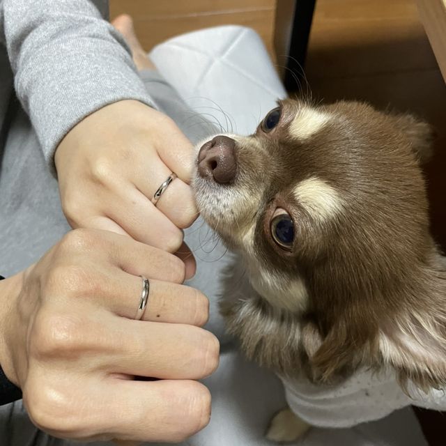 【insembre(インセンブレ)の口コミ】 私の姉が以前に、インセンブレ様で結婚指輪ん購入していました。今回、姉…