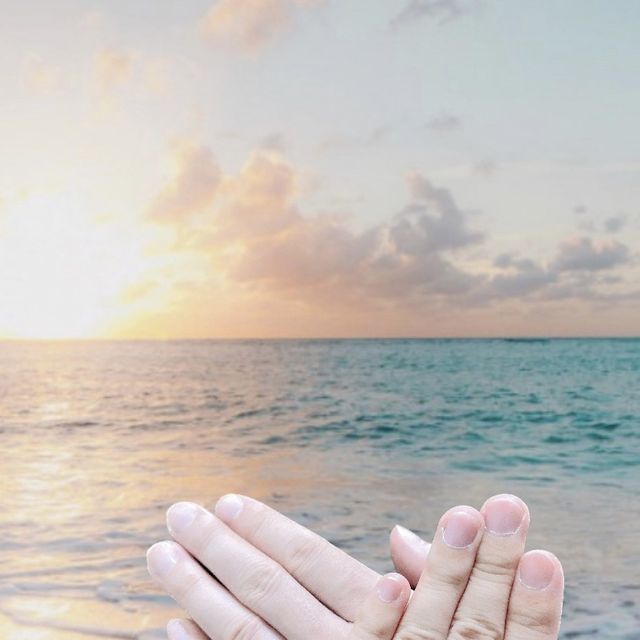 【Disney Cinderella(ディズニー シンデレラ)の口コミ】 自分たちの予算、デザイン、品質重視で結婚指輪を探しており、その中でも…