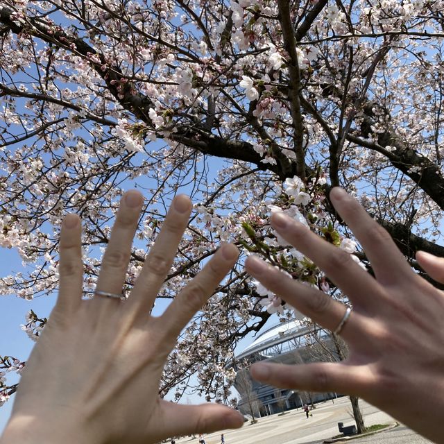 【俄(にわか)の口コミ】 夫婦どちらの指にもしっくりきたのが決め手になりました。価格も私たちの…