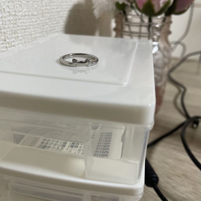 【AFFLUX(アフラックス)の口コミ】 我が家では猫と暮らしています。
小さい頃から猫が大好きで、猫グッズがと…