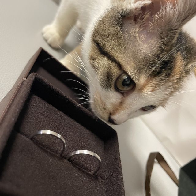 【Ankhore(アンクオーレ)の口コミ】 仕事上、軍手をはめていても、傷つくことがあります。その為、傷ついても…