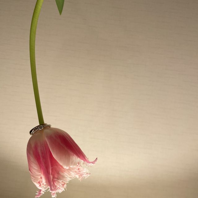 【SIENAROSE(シエナロゼ)の口コミ】 デザイン、品質もよく、
ロゼチナが魅力的でした。
価格帯も非常に満足し…