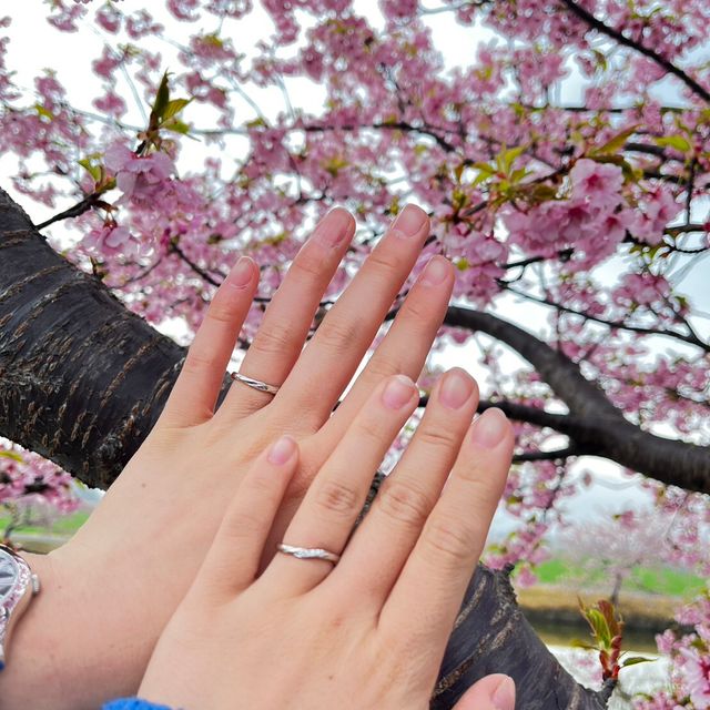 【銀座ダイヤモンドシライシの口コミ】 新作ということとブライドヴォヤージュという2人の航海のって意味なので気…