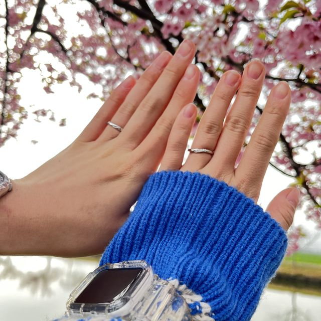 【銀座ダイヤモンドシライシの口コミ】 予算以内で買える指輪の選択肢が多くて店員さんが好みそうなものを選んで…