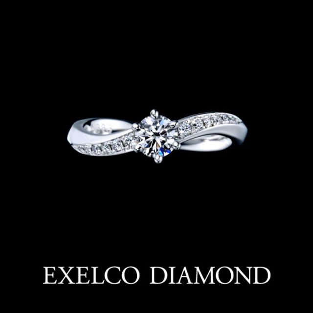 《St.Hubert~サンテュベール~》